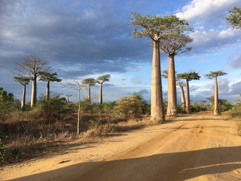 RN7 Road Trip in Madagascar: A Day by Day Itinerary