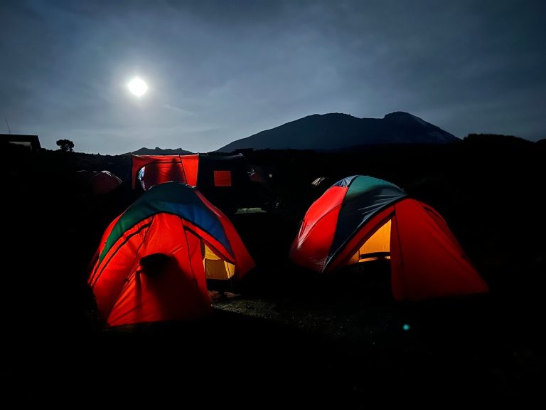 Best Headlamps for Safari and Camping