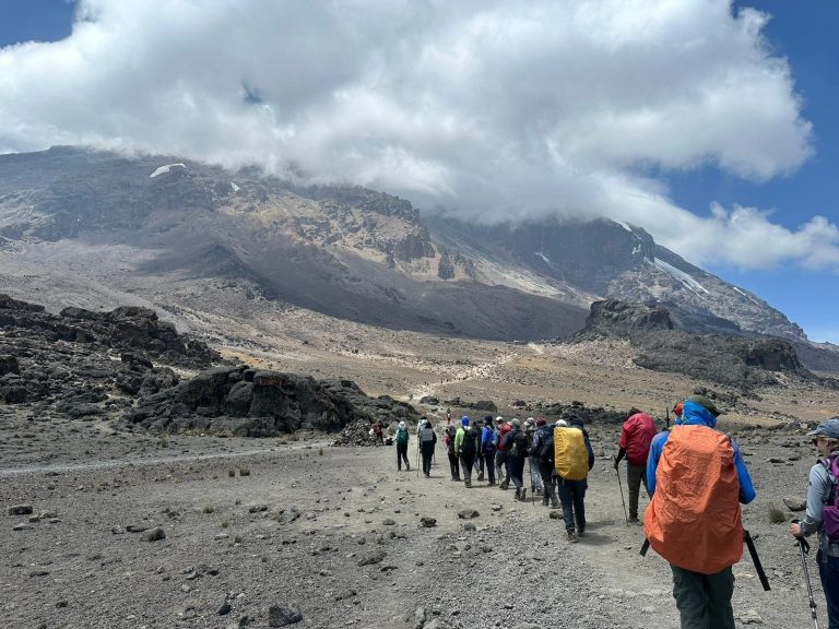 Best Trekking Poles for Gorilla Trekking and Kilimanjaro