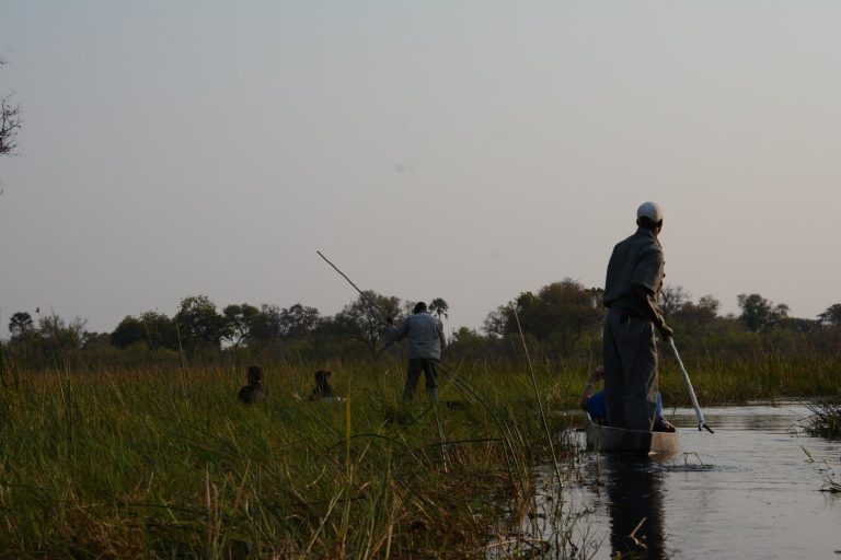 Okavango Delta Safari Cost: Prices by Camp, Season and Trip Style