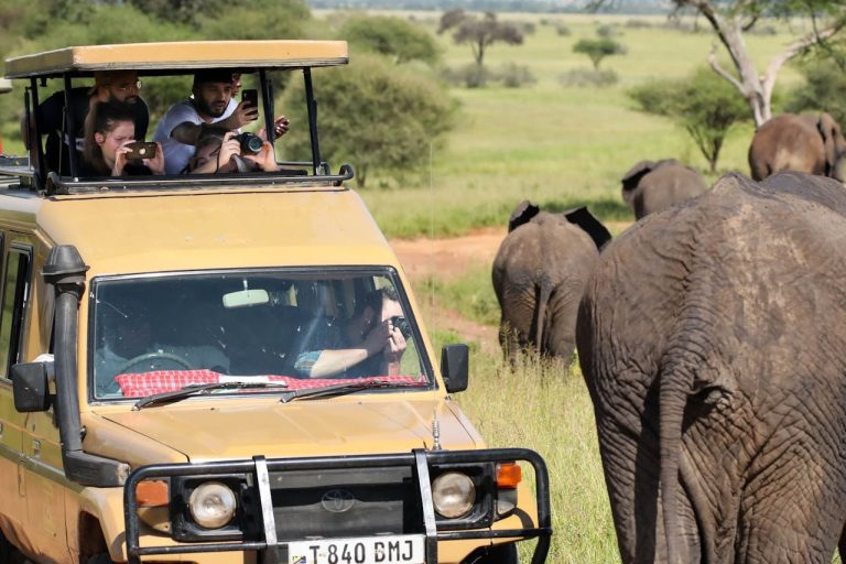 How to Choose a Tanzania Safari Company: Licences, Guides, Quotes and Red Flags