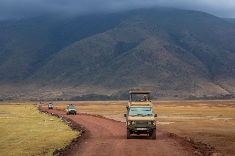Ngorongoro Crater Safari: Fees, Wildlife, Best Time, Rim Lodges and Day Trips