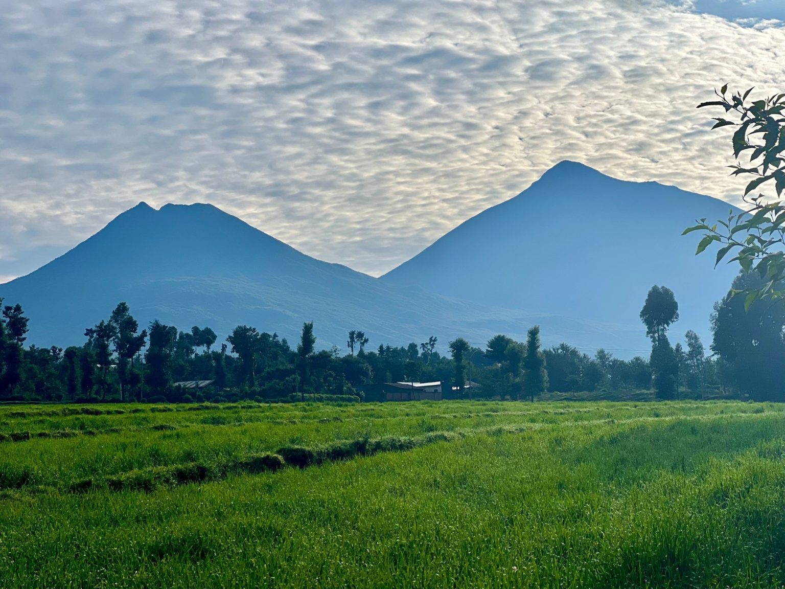 Two Virunga volcanoes rising above green fields at dawn near Musanze, Rwanda