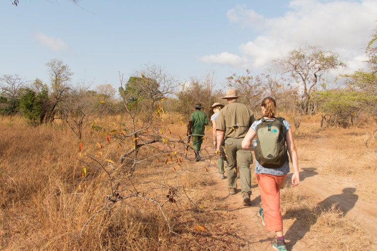Best Travel First Aid Kit for Safari