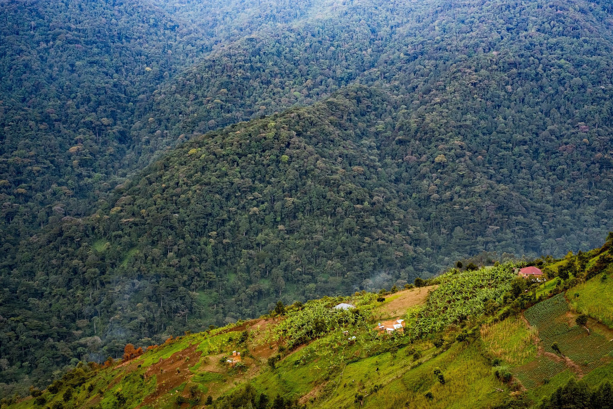 Uganda Gorilla Trekking Packing List