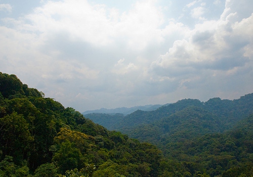 Green hills and forest outside Bwindi