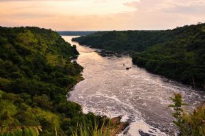 murchison falls uganda