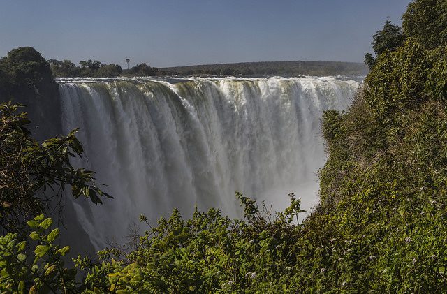 Gorilla Trekking and Victoria Falls: 7 to 14 Day Itineraries