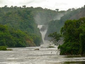 murchison falls safari