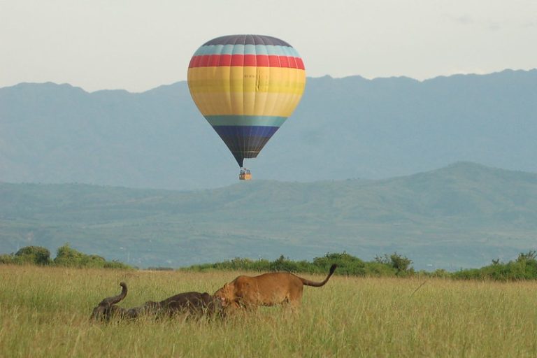 African Safari Cost: Prices by Country, Tier and Season