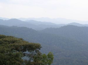 bwindi