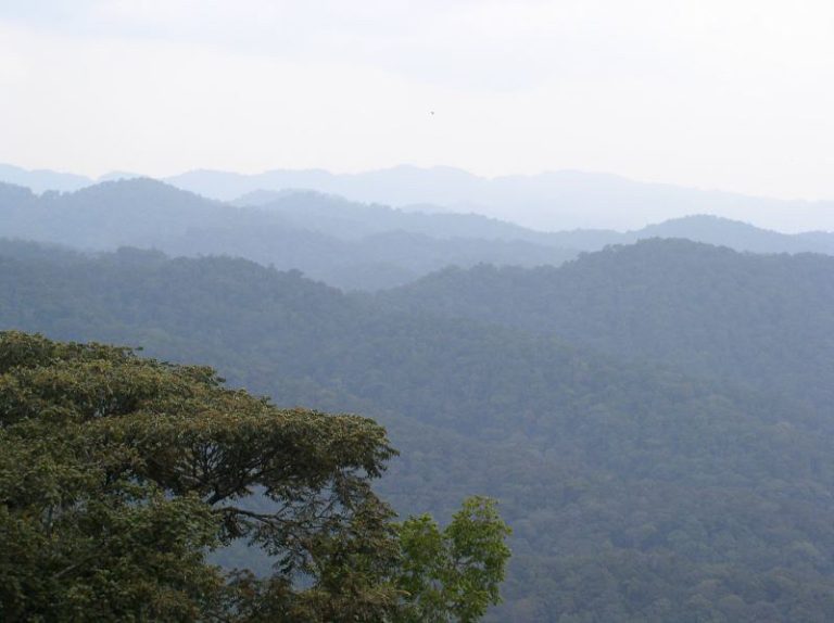 bwindi