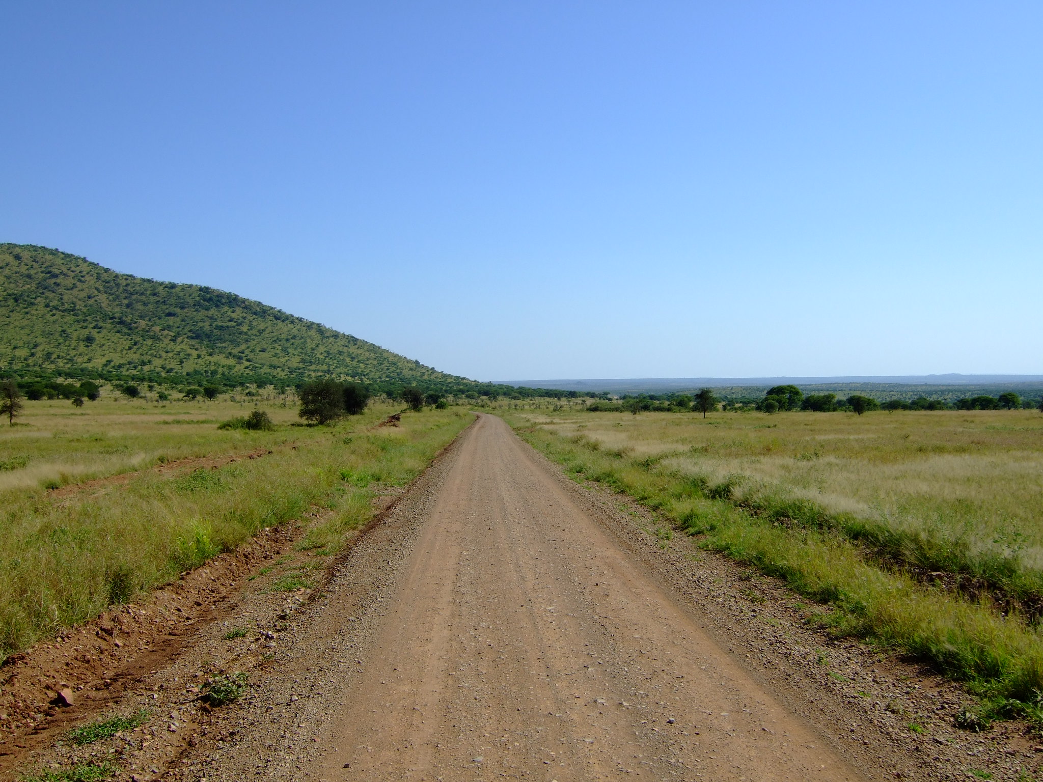 Gravel safari track running across open grassland under a clear blue sky in Tanzania
