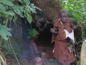 Batwa guide showing a traditional forest shelter