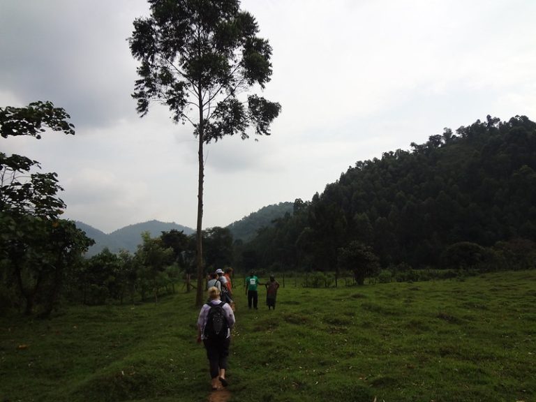 Best Rain Jackets for Gorilla Trekking