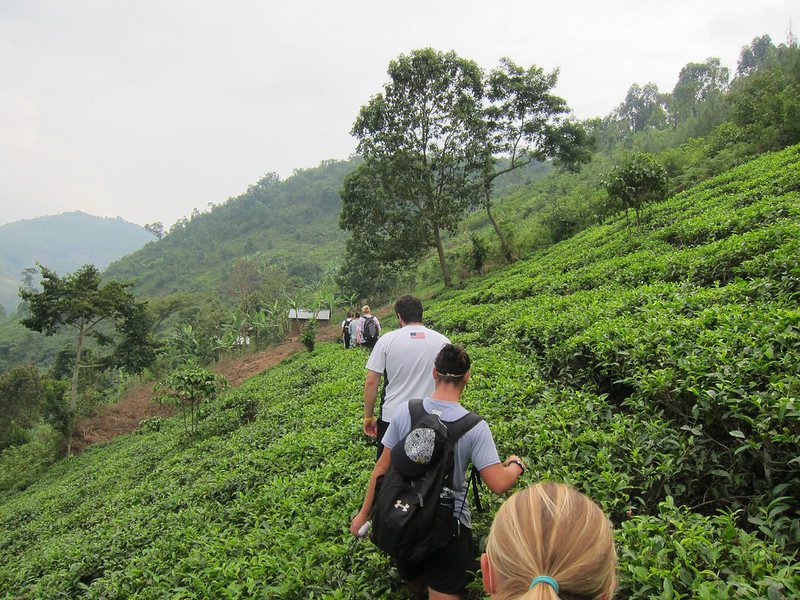 Community Village Walk