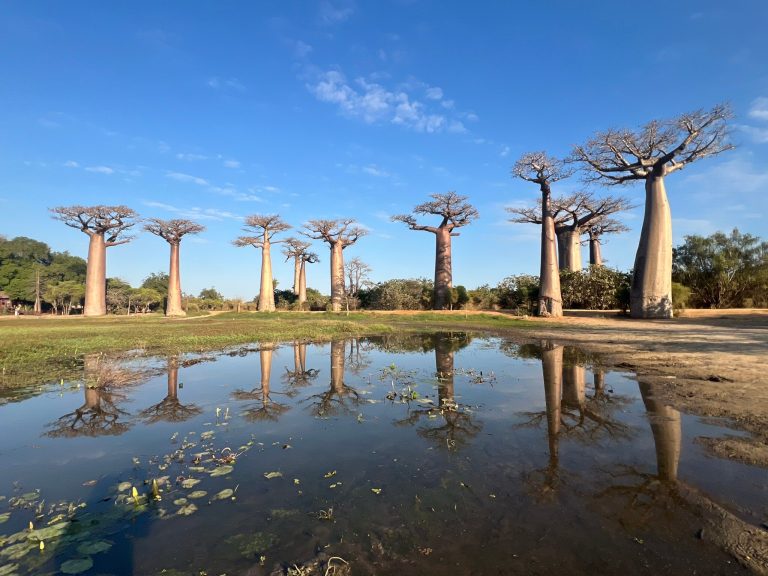 Madagascar Tours: Regions, Routes, Best Time and Travel Advice