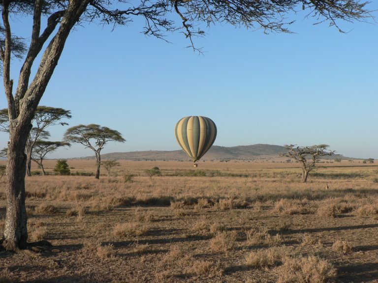 Best Jacket for Safari: Fleece, Down or a Rain Shell