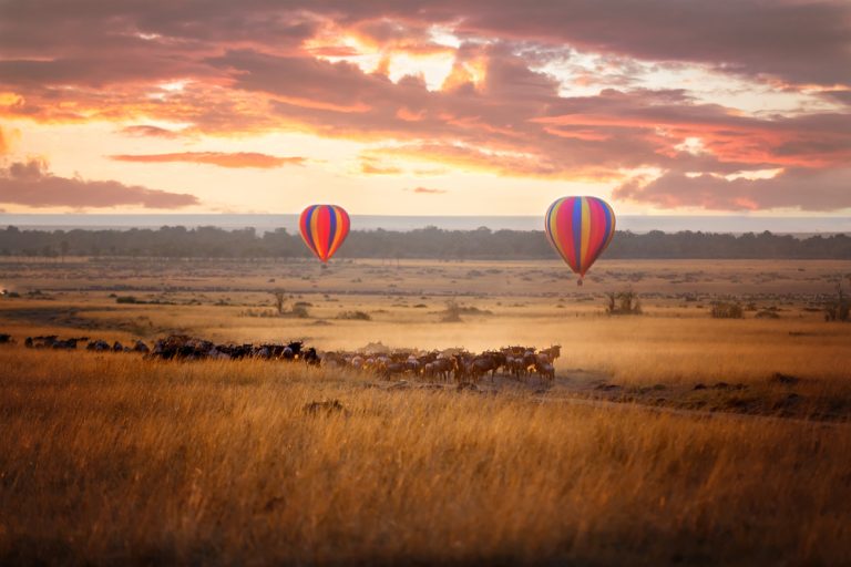 3 Day Kenya Safari