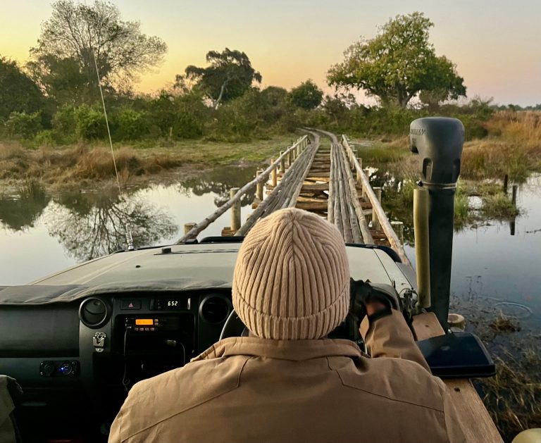 African Safari Insurance: What Your Travel Insurance for a Safari Must Cover