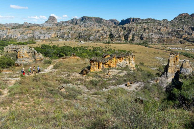 Best Shoes for Safari: Game Drives, Walking Safaris and Camp