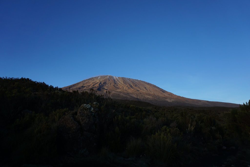 Sunlit dome of Kibo rising above dark moorland scrub on Kilimanjaro