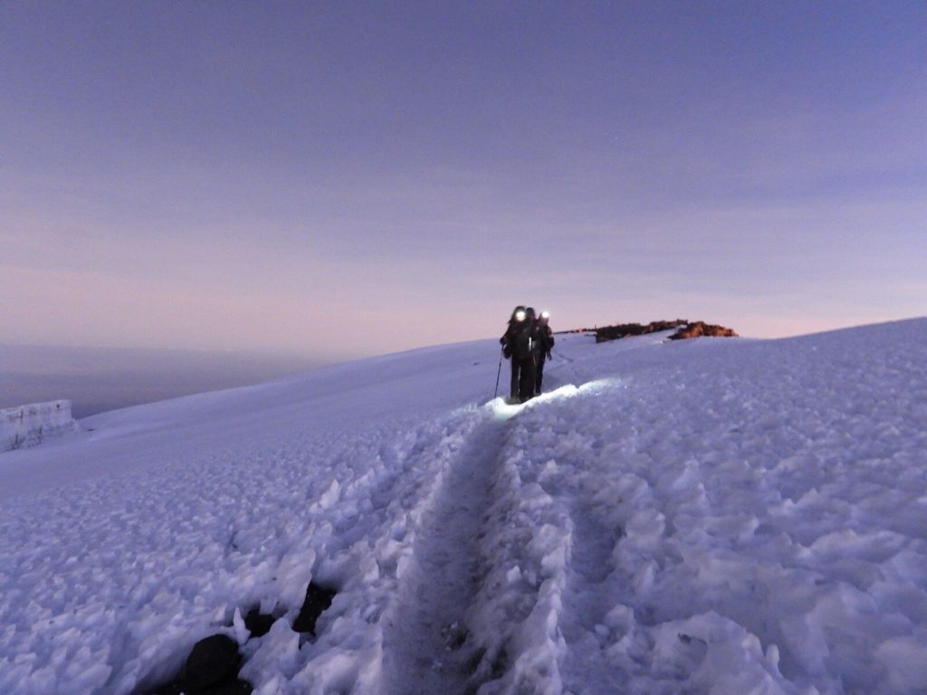 Trekker crossing the summit snowfield of Kilimanjaro in the blue light before dawn