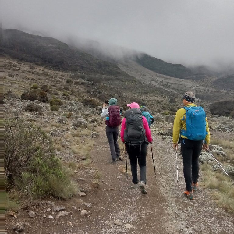 Best Backpack for Kilimanjaro: The Daypack You Carry and the Duffel Porters Carry