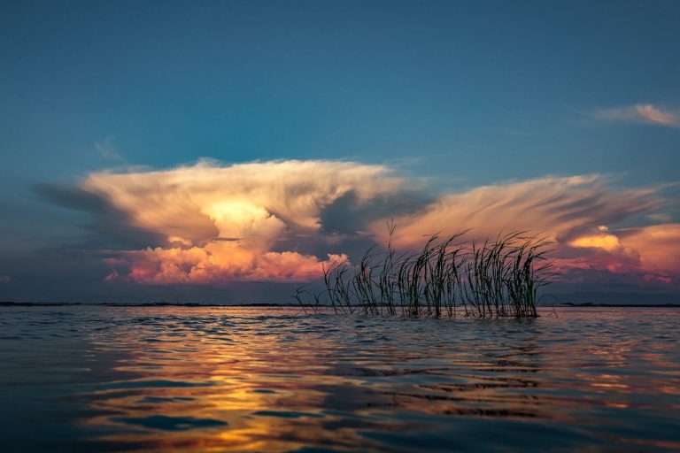 Malawi Safari Guide: Liwonde, Majete, Nyika, Lake Malawi and When to Go