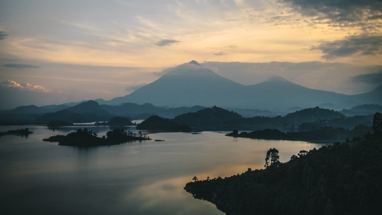 Comparing Gorilla Trekking in Bwindi and Mgahinga