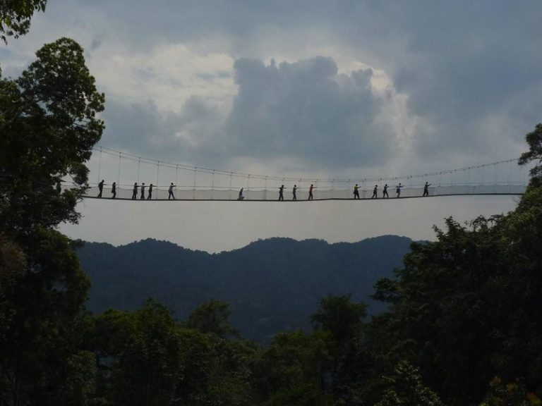 Visitors in single file crossing the Nyungwe canopy walkway high above the rainforest under grey cloud