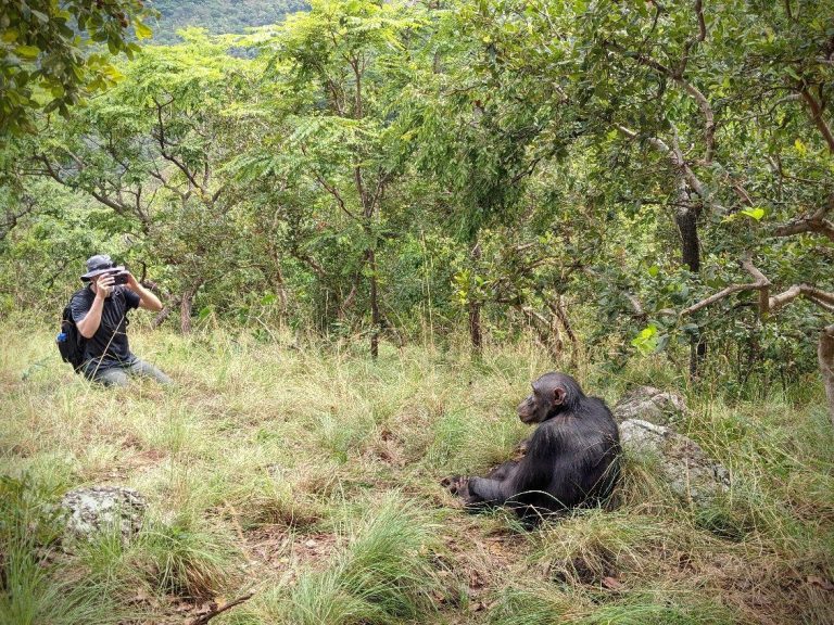 Best Zoom Lens for Safari and Gorilla Trekking