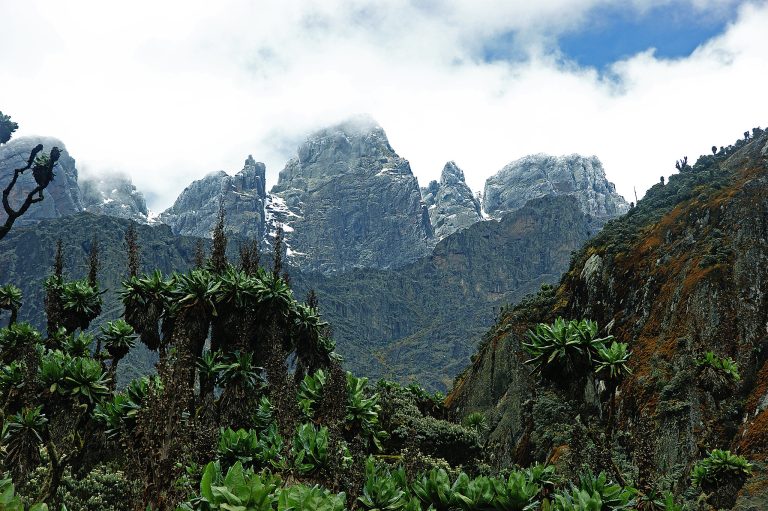 Rwenzori Packing List: Hiking Gear for the Mountains of the Moon