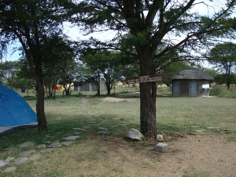 Tents and simple buildings at a public campsite under acacia trees in the Serengeti