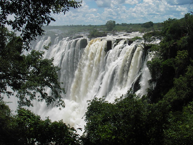 Victoria Falls pouring into the gorge, seen through trees from the rainforest path