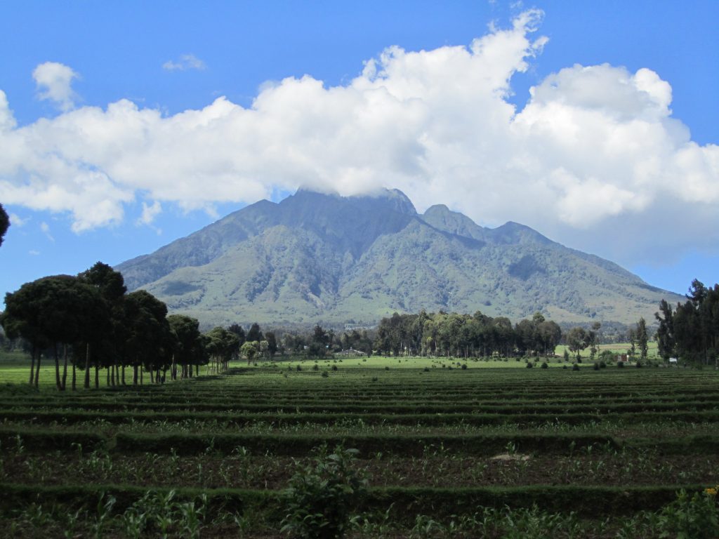Virunga volcano rising above farmland on the edge of Volcanoes National Park, Rwanda