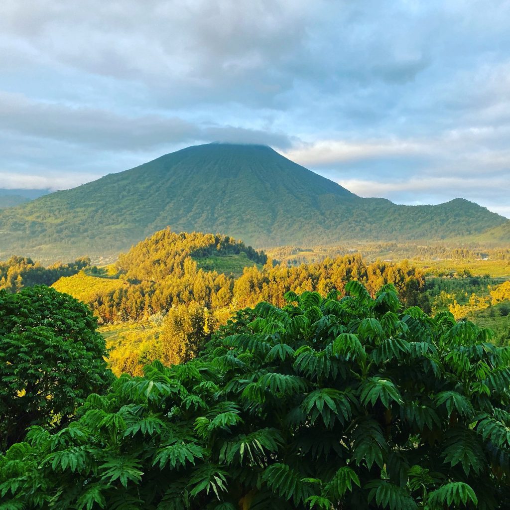 Virunga volcano above forest and farmland in early light near Volcanoes National Park