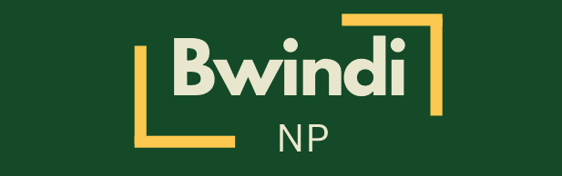 bwidi