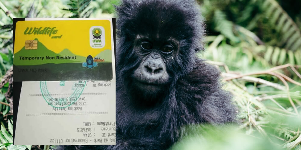 Gorilla Pass Uganda 