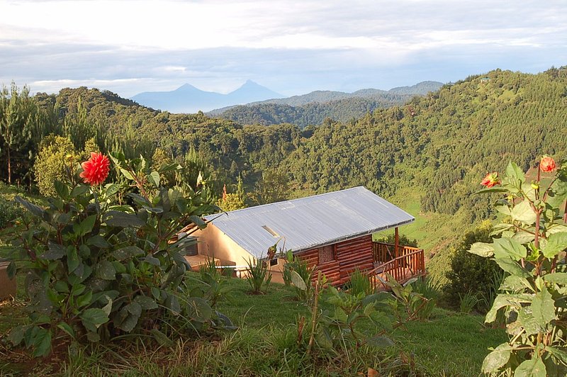 Bakiga Lodge near Bwindi Impenetrable Forest