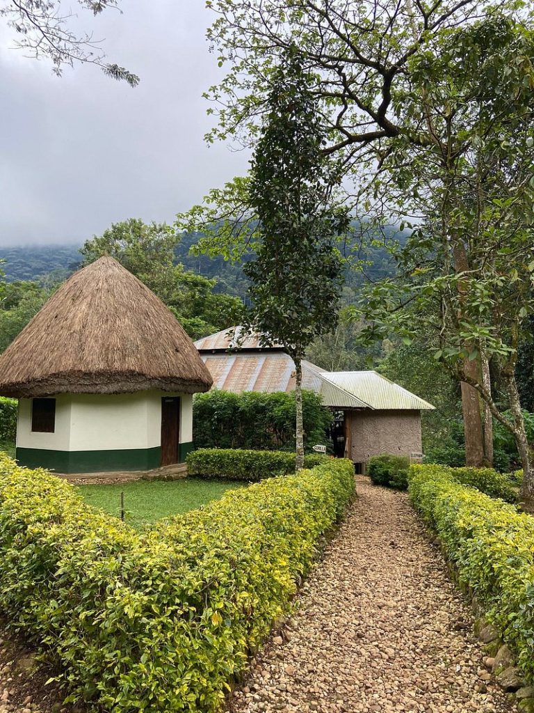 Buhoma Community Rest Camp: Budget Bandas and Campsite at Bwindi’s Gate