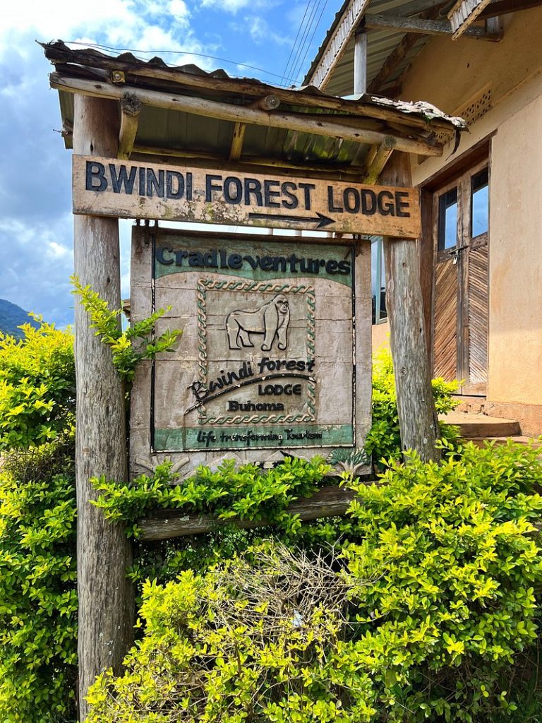 Bwindi Forest Lodge, Buhoma: Budget Cottages for Gorilla Trekking
