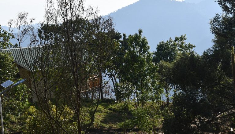Bwindi Orugano Lodge, Nkuringo: Lodge Guide for Gorilla Trekking