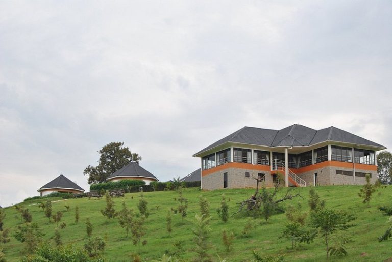 The Crested Crane Bwindi Hotel: Midrange Stay Near Buhoma