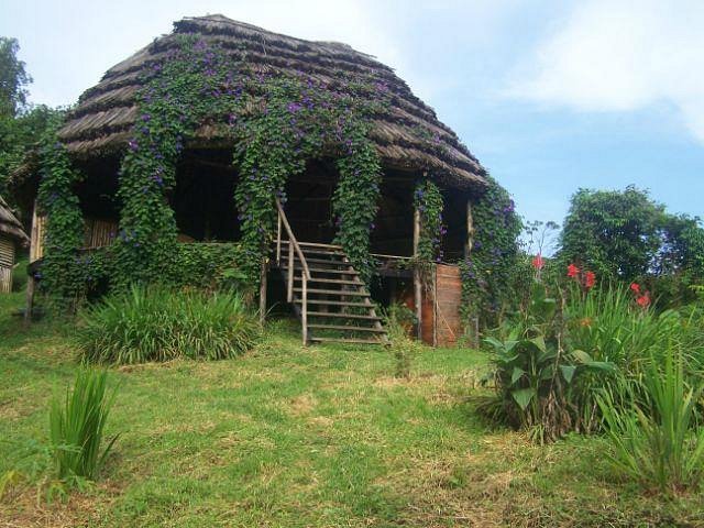 Cuckooland Lodge, Ruhija: Tented Camp Guide for Bwindi Gorilla Trekking