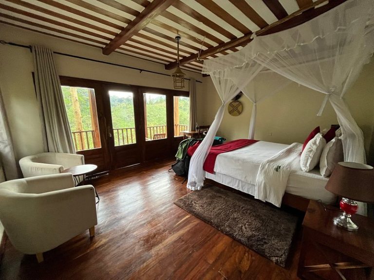 Four Gorillas Lodge: Forest Cottages in Bwindi’s Rushaga Sector