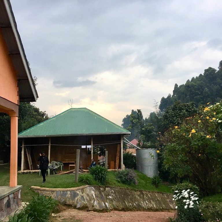Gift of Nature Lodge, Ruhija: Budget Lodge Guide for Bwindi Gorilla Trekking