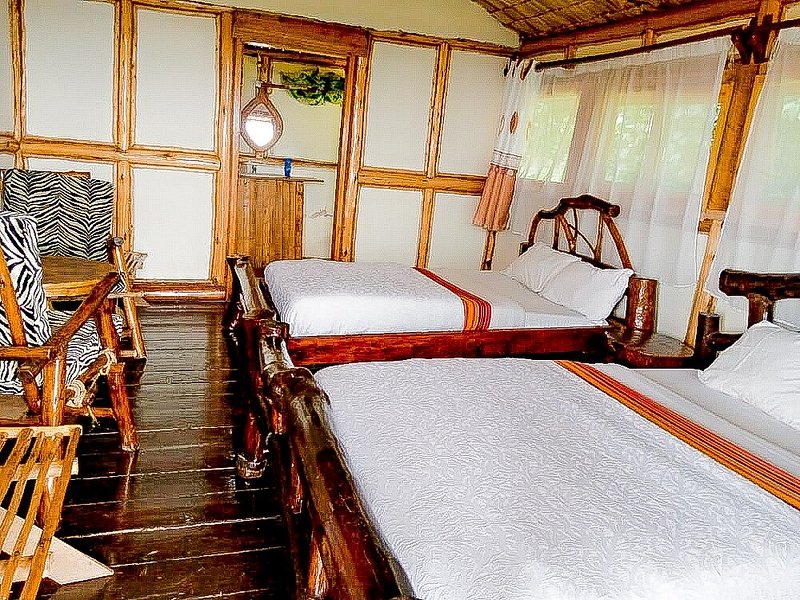 Gorilla Mist Camp near Bwindi Impenetrable Forest