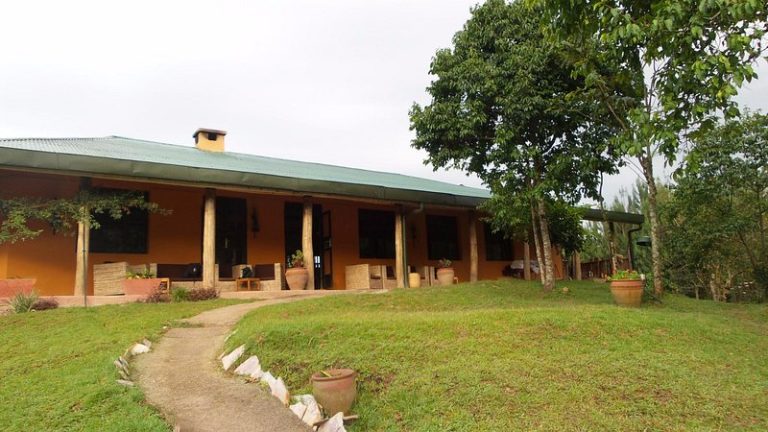 Gorilla Valley Lodge: Rushaga Sector Stay for Gorilla Trekking in Bwindi