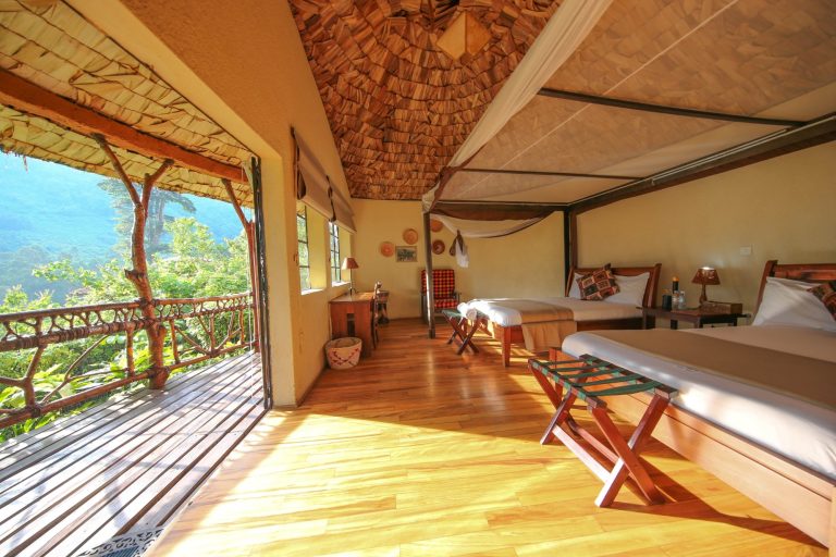 Mahogany Springs Lodge Bwindi: Riverside Suites in Buhoma